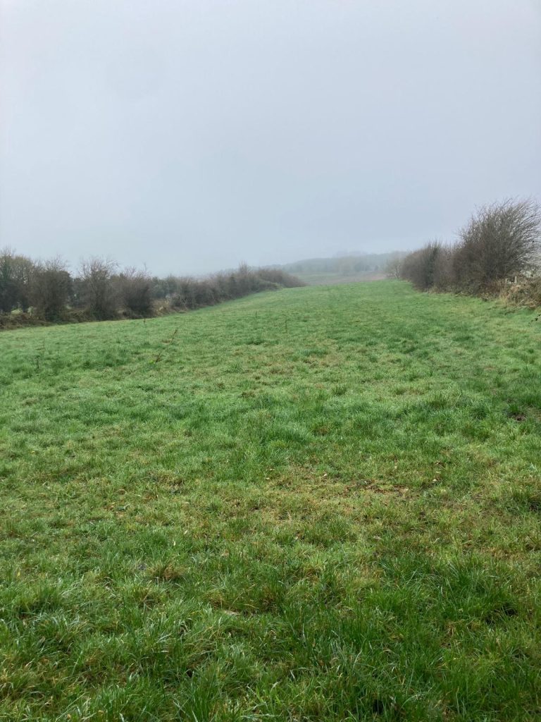 LAND FOR SALE: Mountdelvin, Cloonfad, Ballyhaunis, Co. Roscommon