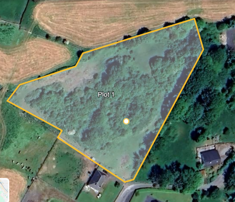 FOR SALE: Circa 2.5 acres at Cahernablauhy, Kilmaine, Co. Mayo.