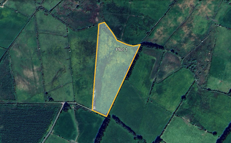 LAND FOR SALE: Hundred Acres, Cloonfad, Ballyhaunis, Co. Roscommon