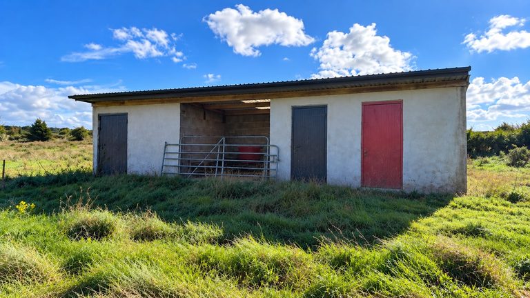FOR SALE: Meeltraun, Cloonfad, Ballyhaunis, Co. Roscommon