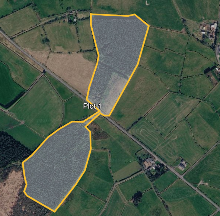 FOR SALE: Circa 28 acres of land and forestry at Killavoher, Dunmore, Co. Galway